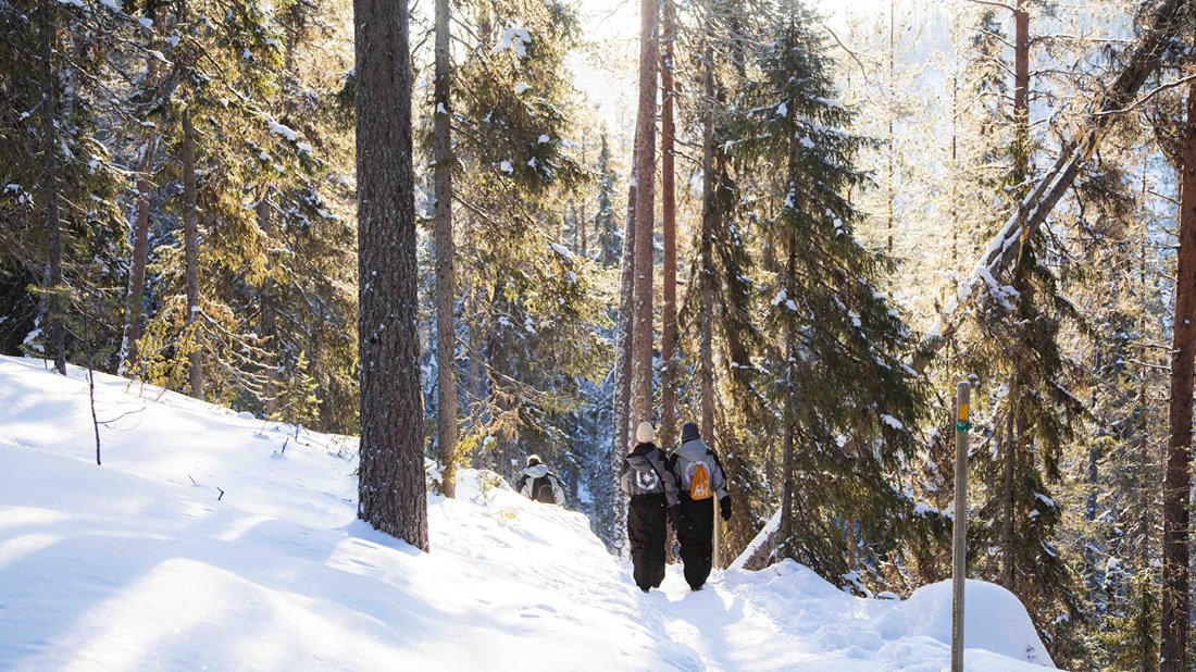 Wanderer gehen durch einen verschneiten Wald
