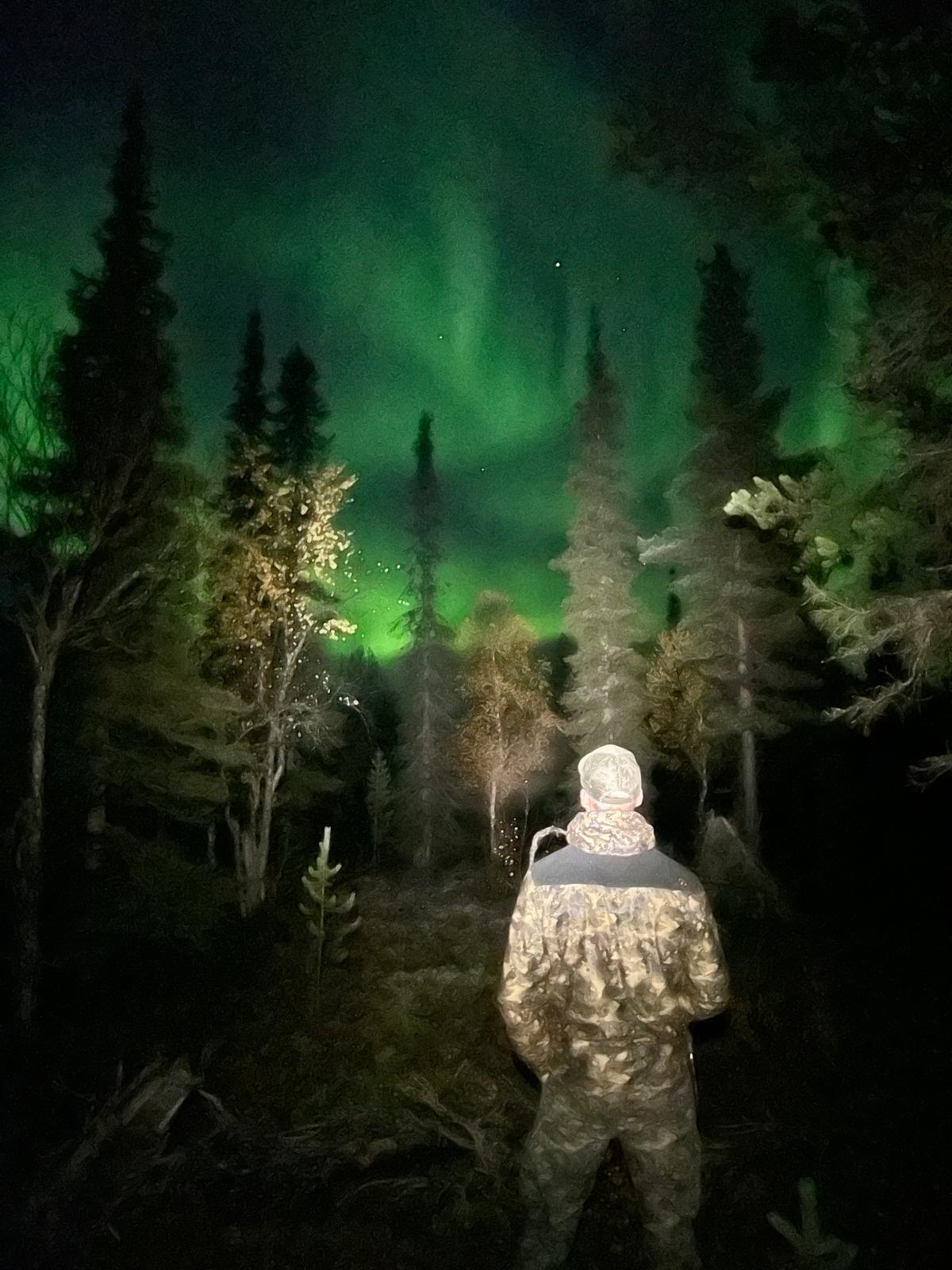 Grüne Nordlichter über dem verschneiten Lappland
