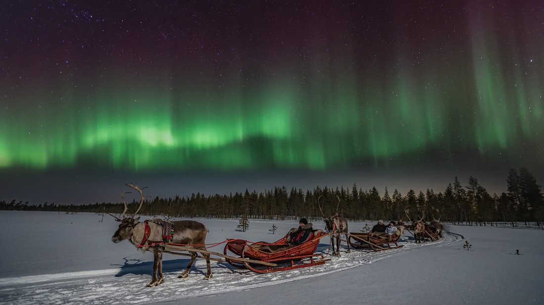 Trineos de renos bajo las auroras boreales
