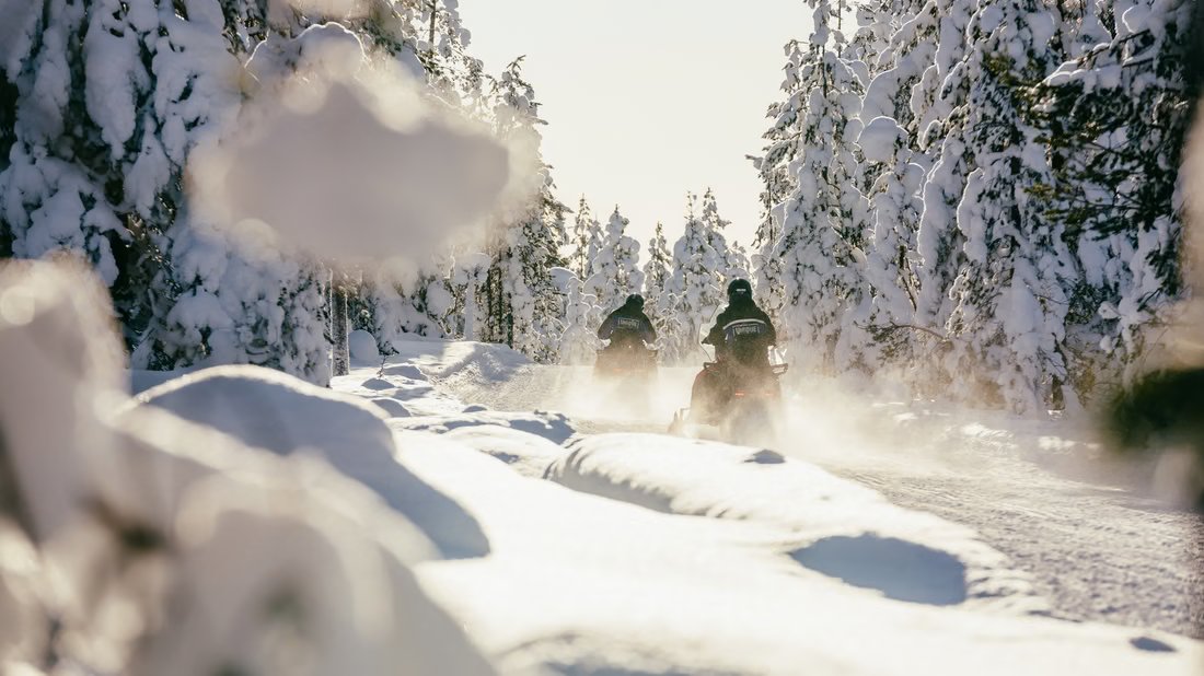 Snowmobiles crossing a sunny snowy forest